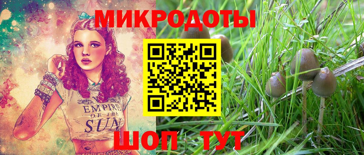 Псилоцибиновые грибы GOLDEN TEACHER Тулун
