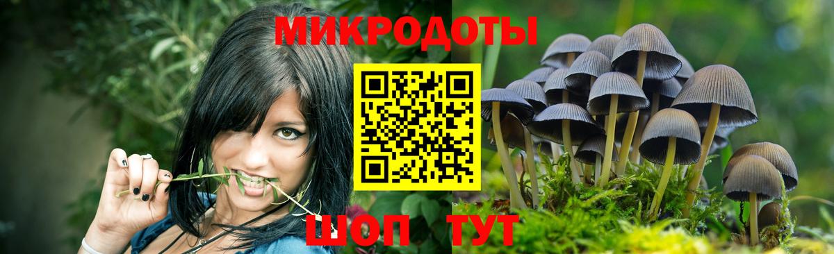 Тулун  Галлюциногенные грибы MAGIC MUSHROOMS  Галлюциногенные грибы ЛСД  хочу наркоту  Вход с VPN 